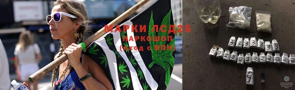 крисы Алексин