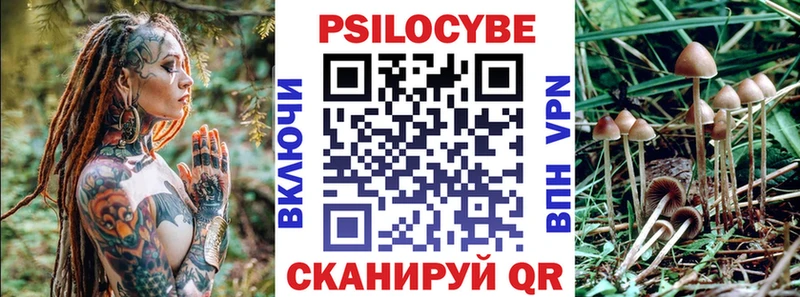 где можно купить   Заполярный  Псилоцибиновые грибы GOLDEN TEACHER 